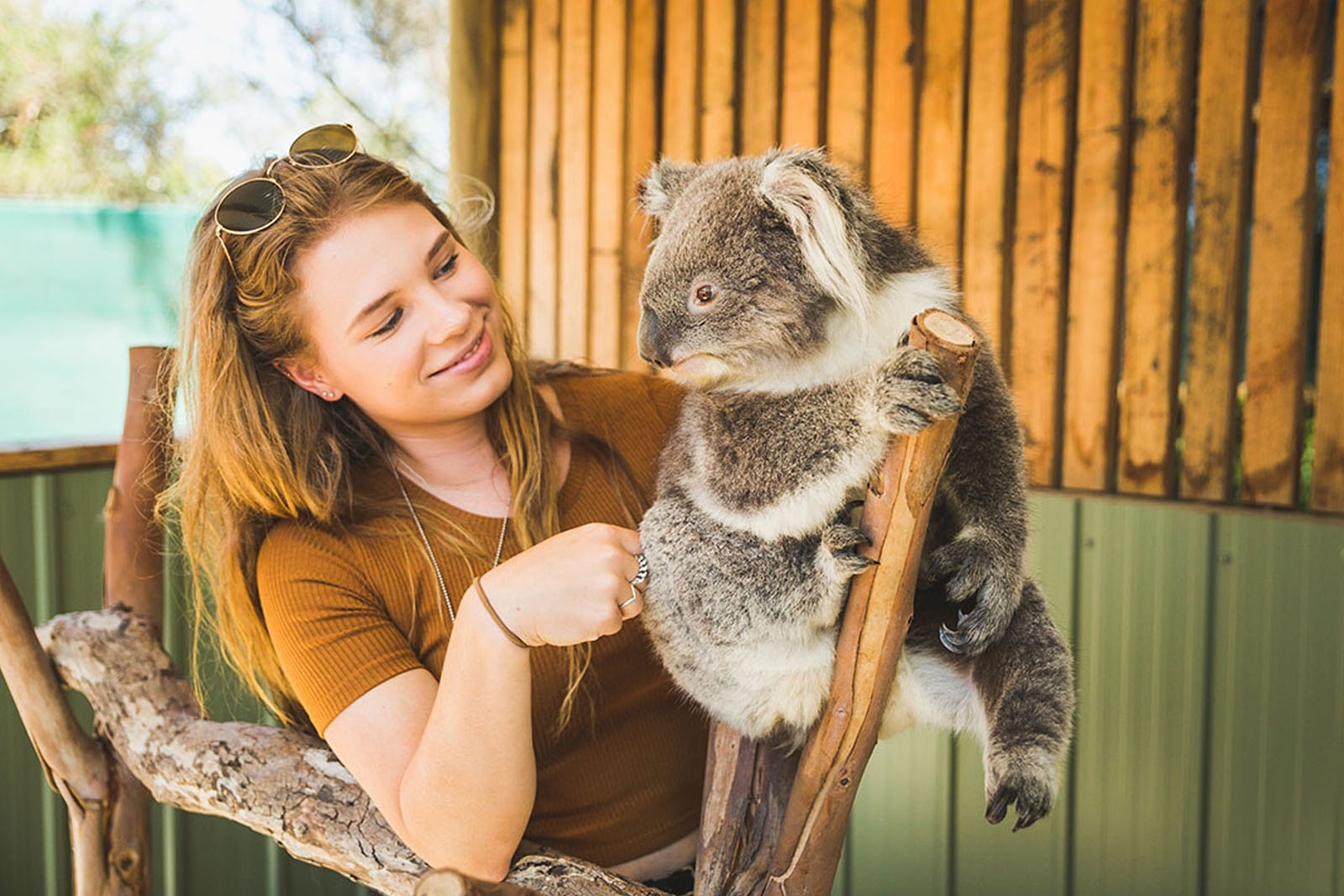 Young woman interacting with a cute Australian koala