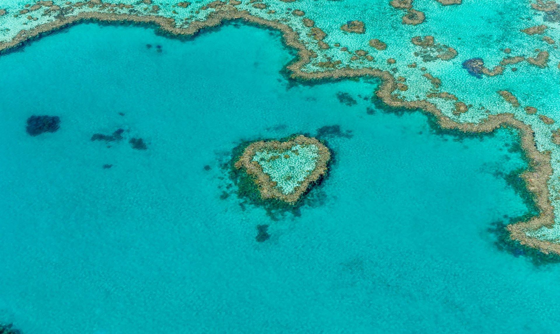 The Great Barrier Reef