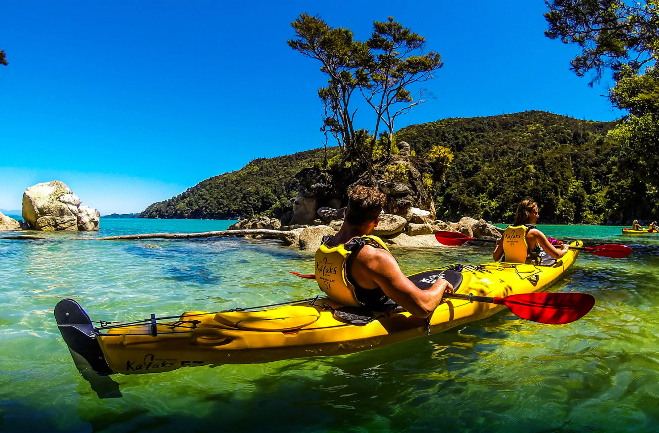 Kayak Abel Tasman