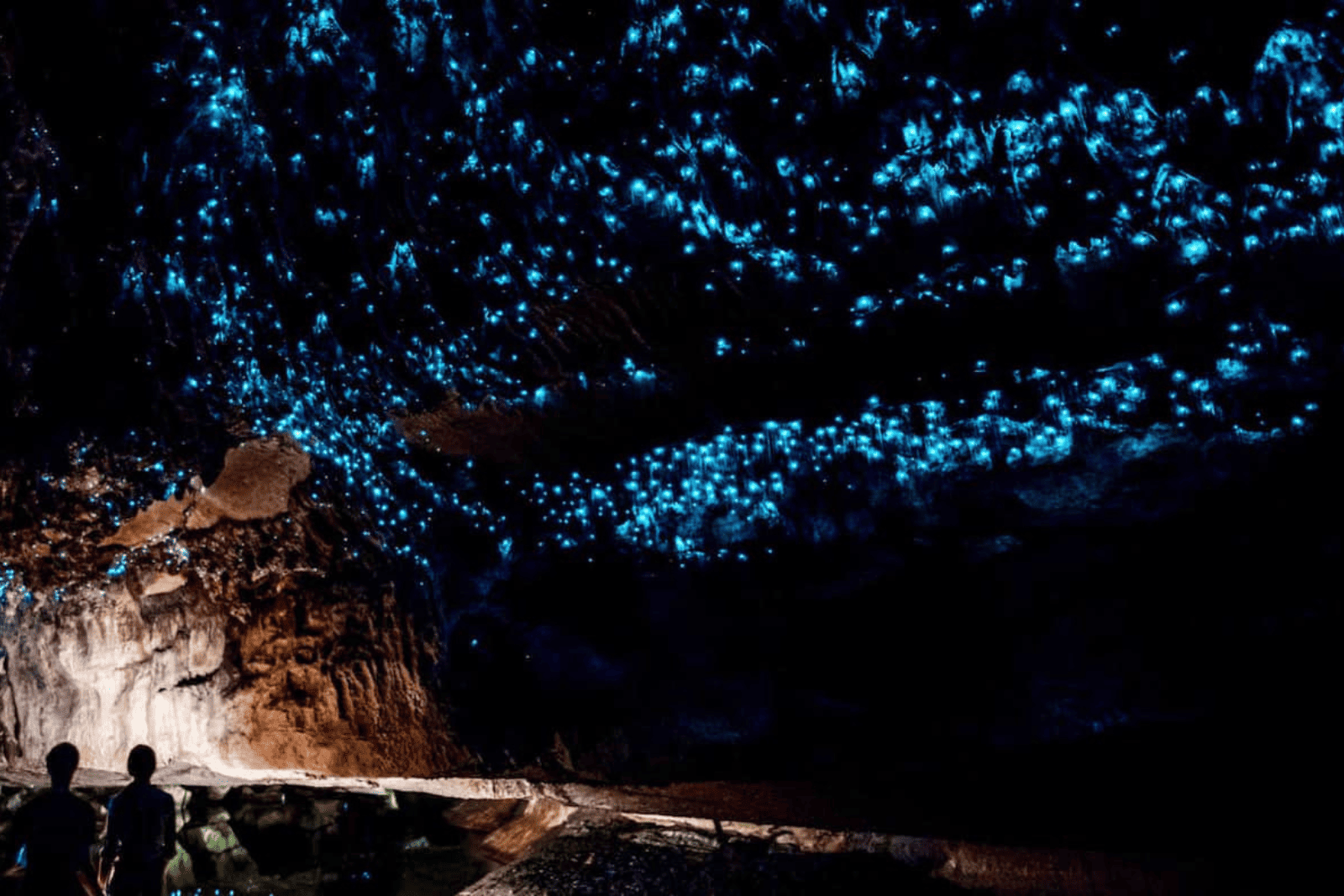 Explore the Waitomo Glowworm Caves